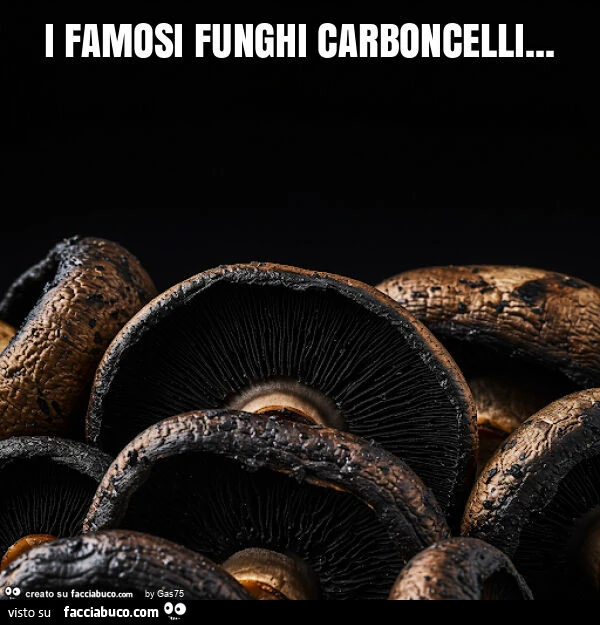 I famosi funghi carboncelli