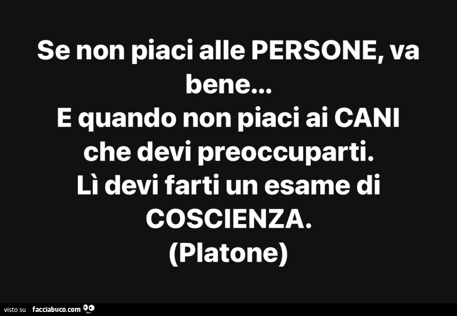 Se non piaci alle persone, va bene&hellip; e quando non piaci ai cani che devi preoccuparti. Lì devi farti un esame di coscienza. Platone