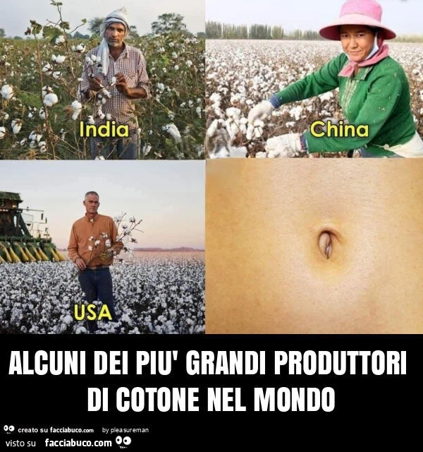 Alcuni dei piรน grandi produttori di cotone nel mondo