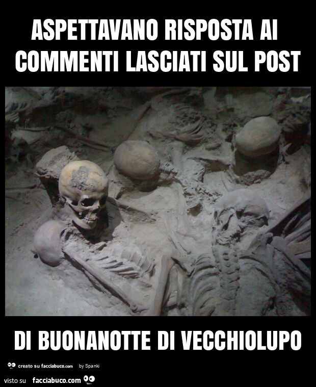 Aspettavano risposta ai commenti lasciati sul post di buonanotte di vecchiolupo