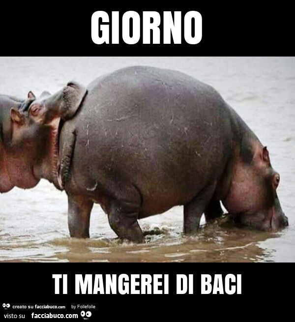 Giorno ti mangerei di baci