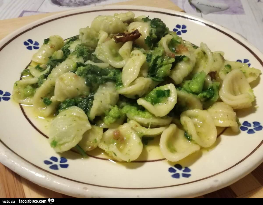 Vaccata