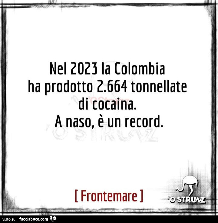 Nel 2023 la Colombia ha prodotto 2.664 tonnellate di cocaina. A naso, è un record