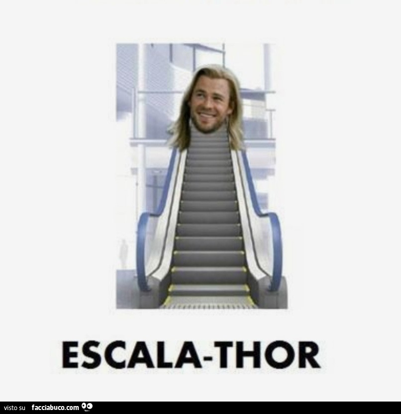 Escala-thor