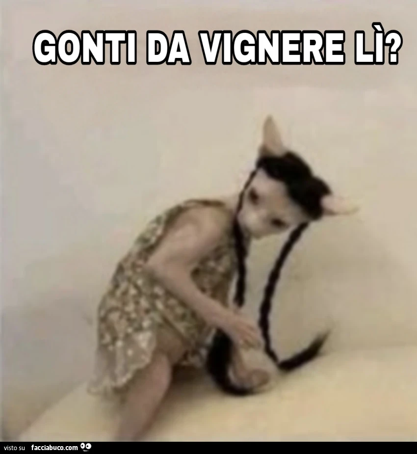 Vaccata