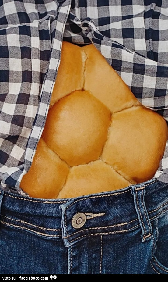 Tartaruga pane