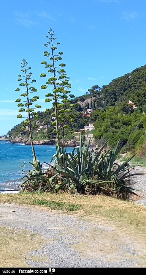 La bellezza del mare