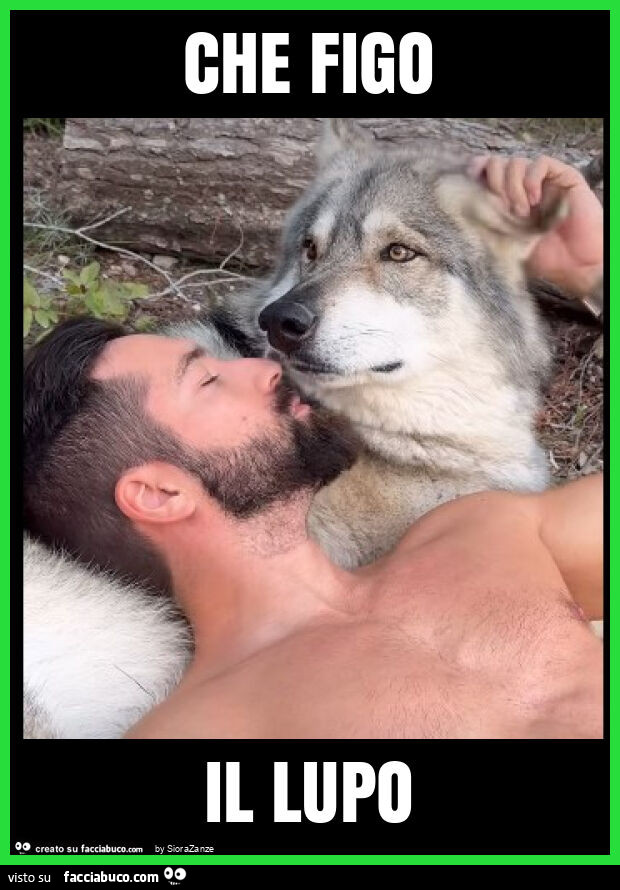 Che figo il lupo