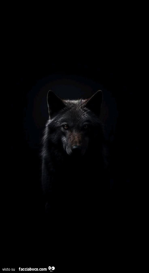Lupo