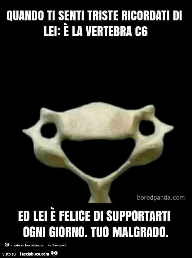 Quando ti senti triste ricordati di lei: è la vertebra c6 ed lei è felice di supportarti ogni giorno. Tuo malgrado