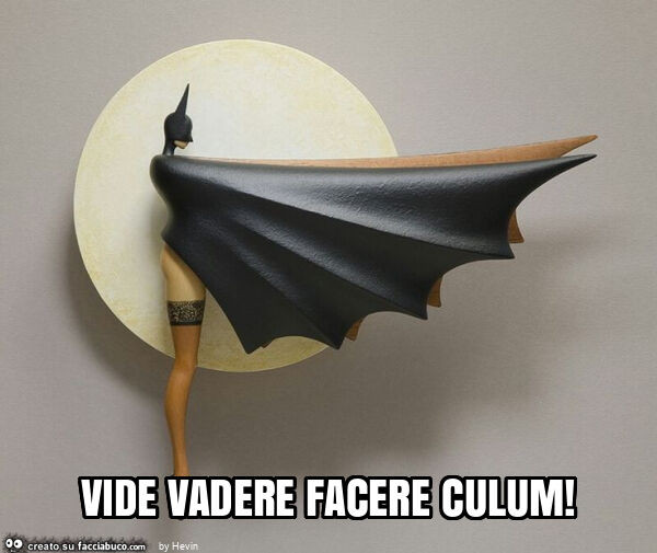 Vide vadere facere culum