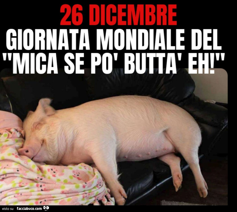 Giornata mondiale del "mica se po' buttà eh! " 26 dicembre maiale divano