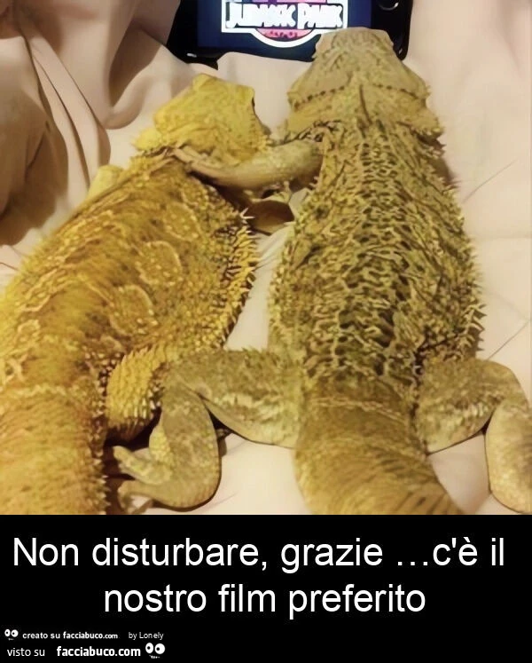 Non disturbare, grazie &hellip; c'è il nostro film preferito