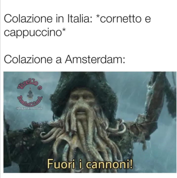 Vaccata