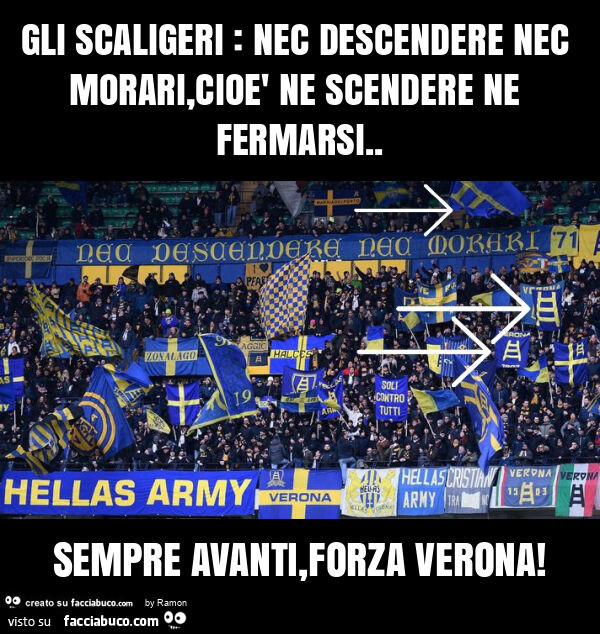 Gli scaligeri: nec descendere nec morari, cioè ne scendere ne fermarsi. Sempre avanti, forza verona