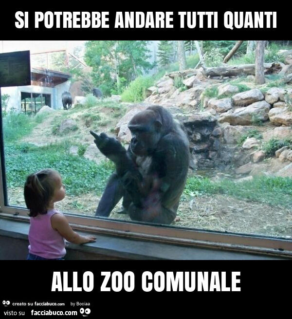 Si potrebbe andare tutti quanti allo zoo comunale