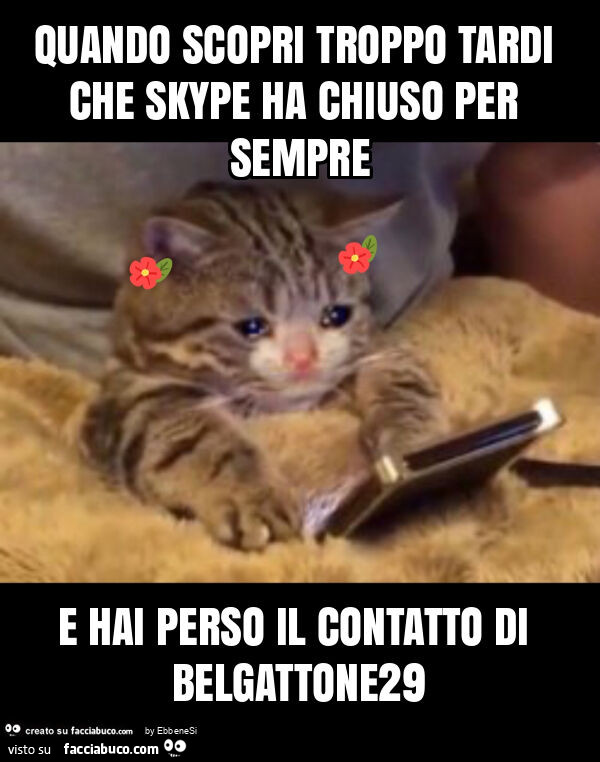 Quando scopri troppo tardi che skype ha chiuso per sempre e hai perso il contatto di belgattone29