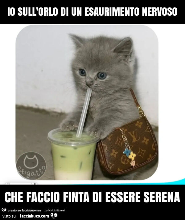 Io sull'orlo di un esaurimento nervoso che faccio finta di essere serena