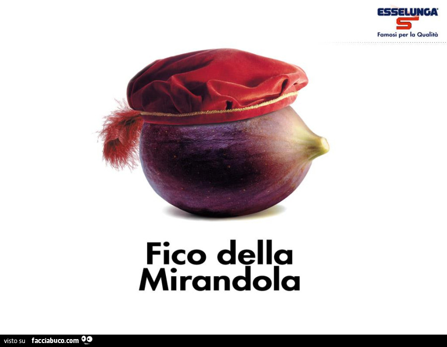 Fico della mirandola