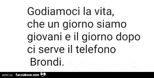 Godiamoci la vita, che un giorno siamo giovani e il giorno dopo ci serve il telefono brondi