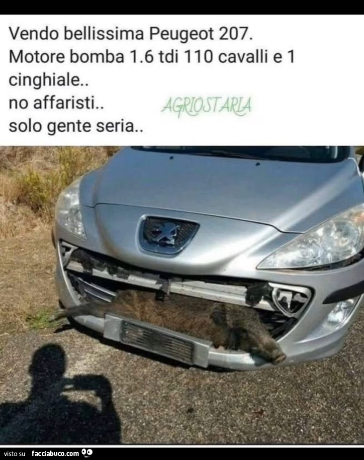 Vaccata