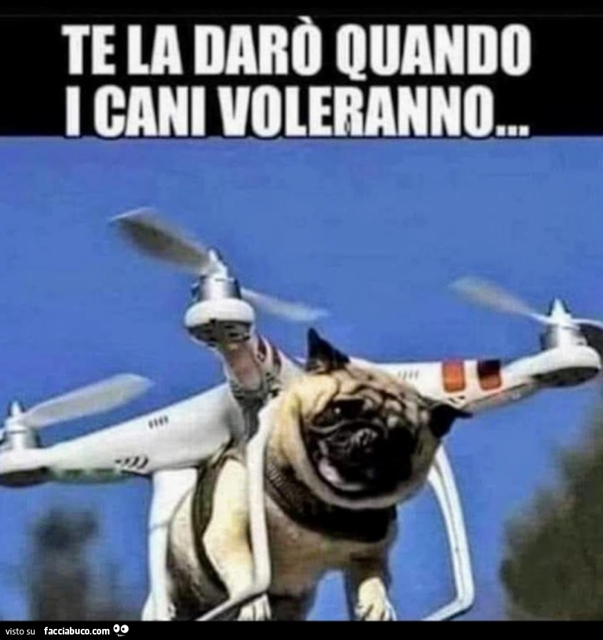 Carlino