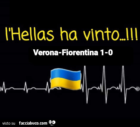 L'hellas ha vinto! Verona-Fiorentina 1 a 0