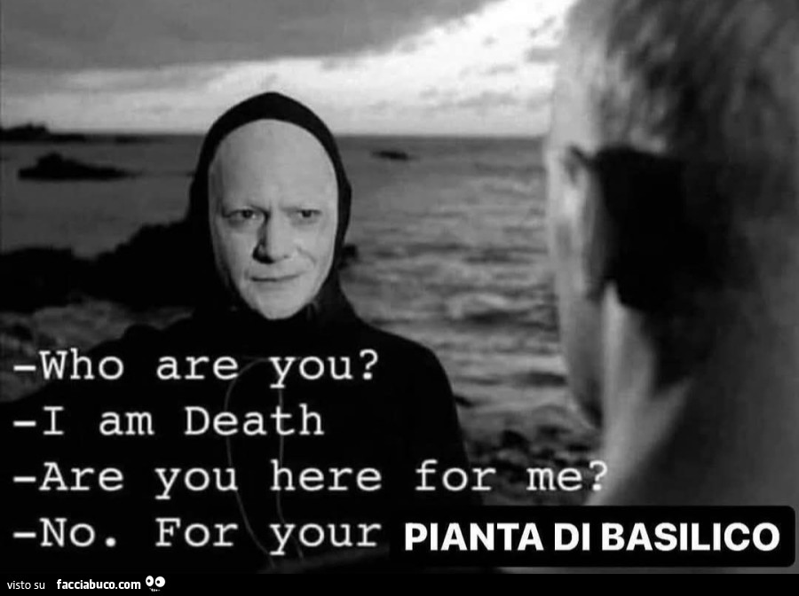 Who are you i am death are you here for me no for your pianta di basilico