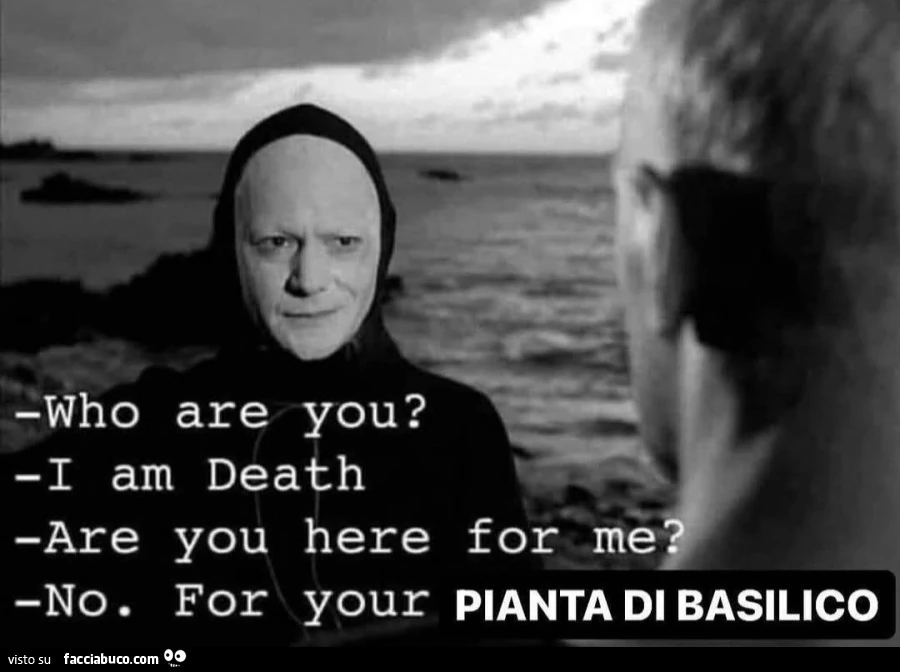 Who are you i am death are you here for me no for your pianta di basilico