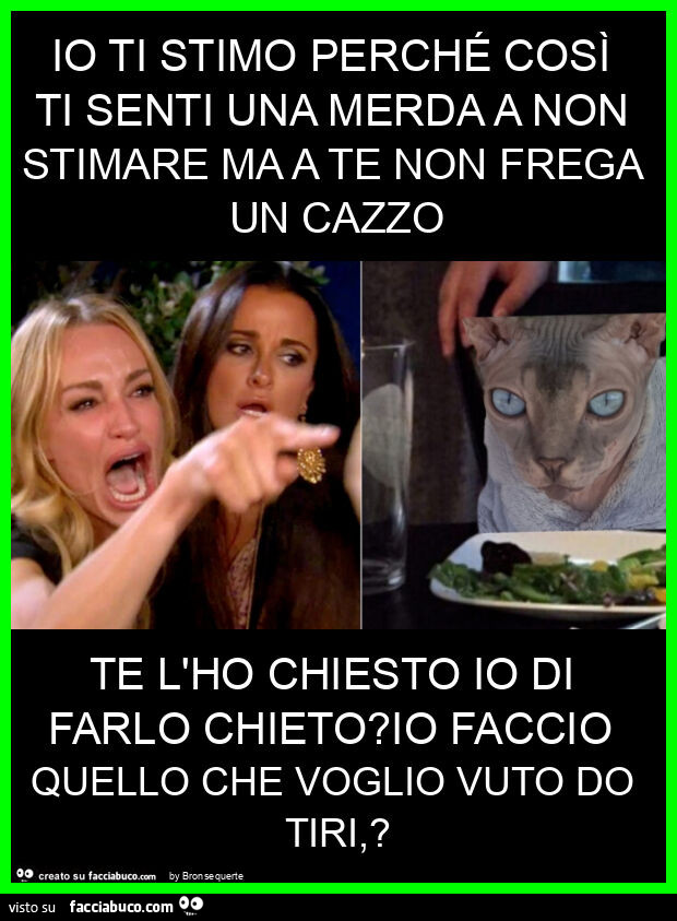 Io ti stimo perché così ti senti una merda a non stimare ma a te non frega un cazzo te l'ho chiesto io di farlo chieto? Io faccio quello che voglio vuto do tiri,?