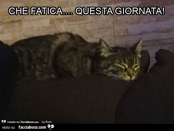 Che fatica… questa giornata