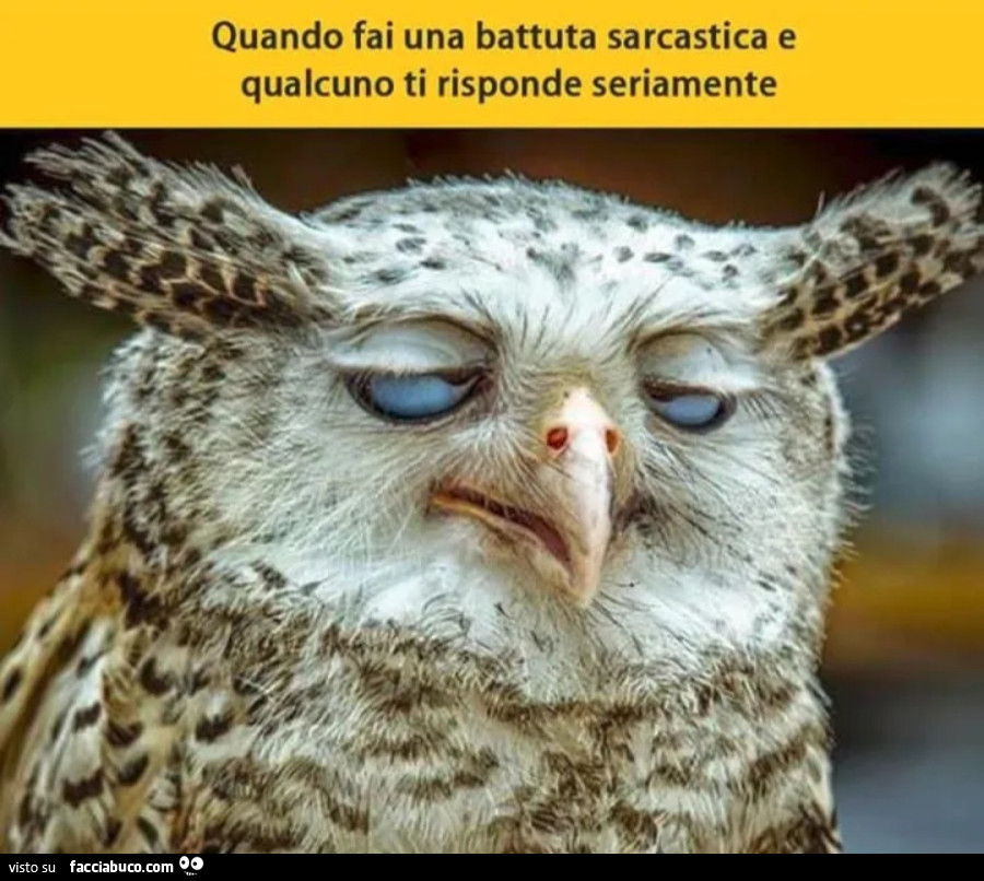 Quando fai una battuta sarcastica e qualcuno ti risponde seriamente gufo