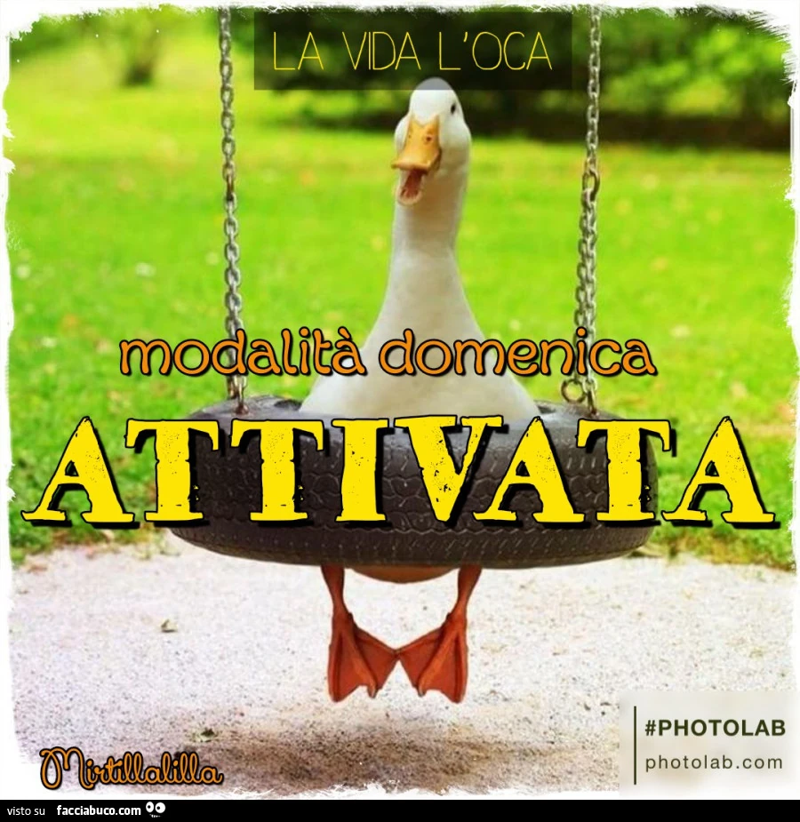 Modalitร domenica