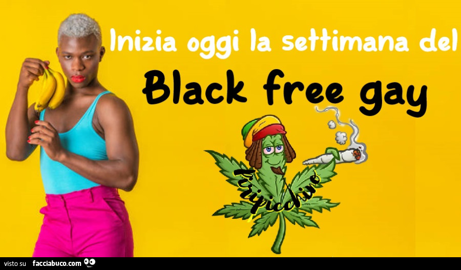 Inizia oggi la settimana del black free gay