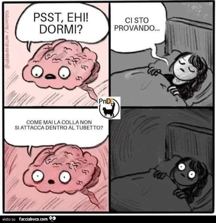 Cervello