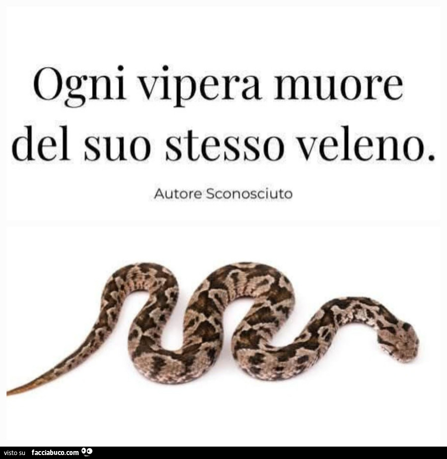 Ogni vipera muore del suo stesso veleno