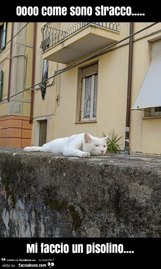 Oooo come sono stracco… mi faccio un pisolino