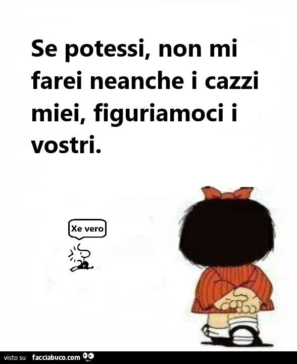Se potessi, non mi farei neanche i cazzi miei, figuriamoci i vostri