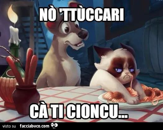 Vaccata