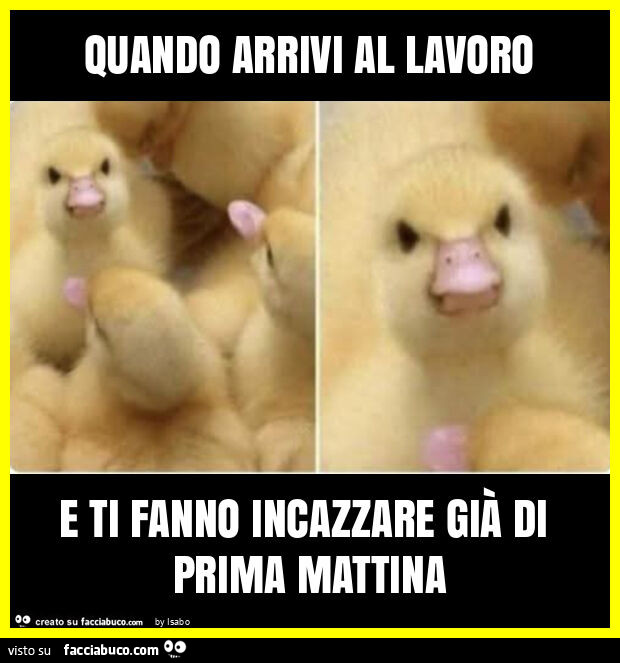 Quando arrivi al lavoro e ti fanno incazzare già di prima mattina