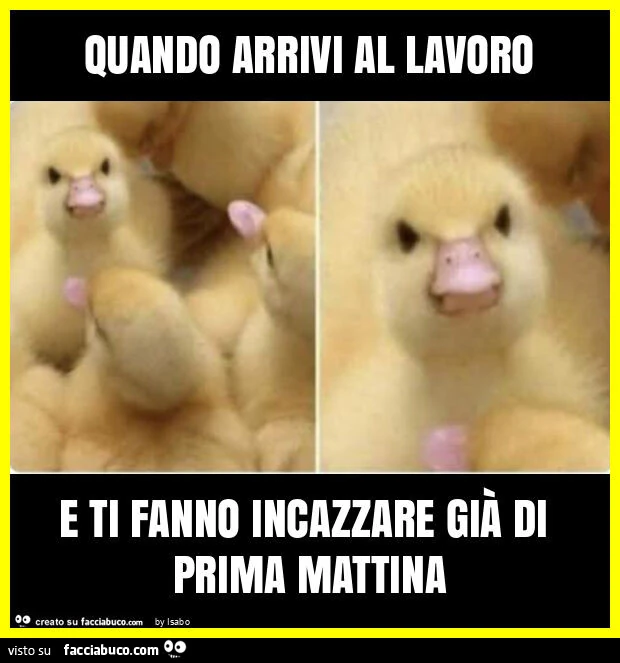 Quando arrivi al lavoro e ti fanno incazzare già di prima mattina