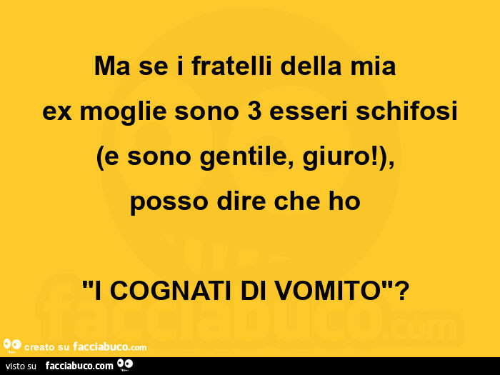 Ma se i fratelli della mia ex moglie sono 3 esseri schifosi e sono gentile, giuro, posso dire che ho i cognati di vomito