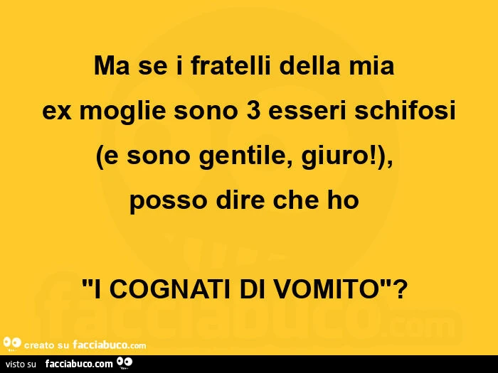 Ma se i fratelli della mia ex moglie sono 3 esseri schifosi e sono gentile, giuro, posso dire che ho i cognati di vomito
