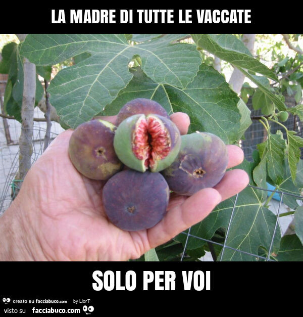 La madre di tutte le vaccate solo per voi