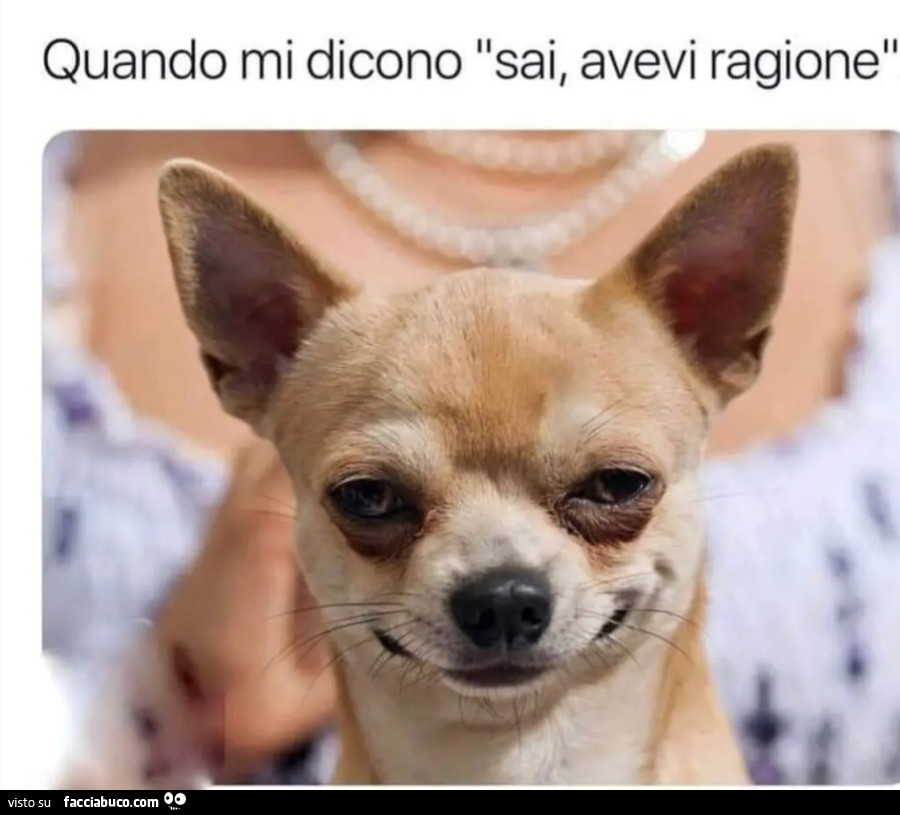 Quando mi dicono sai avevi ragione