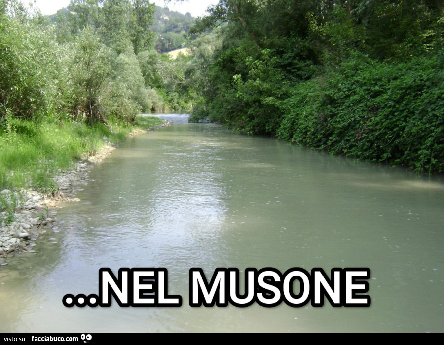 Fiume Musone