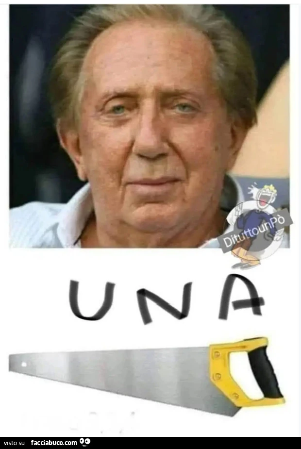 Buongiorno una sega rebus