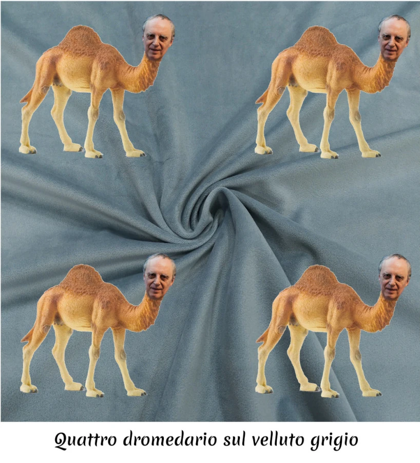 Vaccata