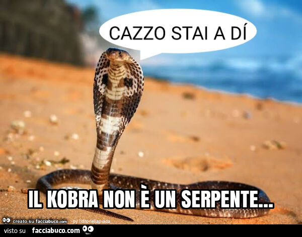 Il kobra non è un serpente