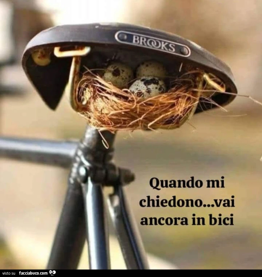 Quando mi chiedono vai ancora in bici nido sotto la sella